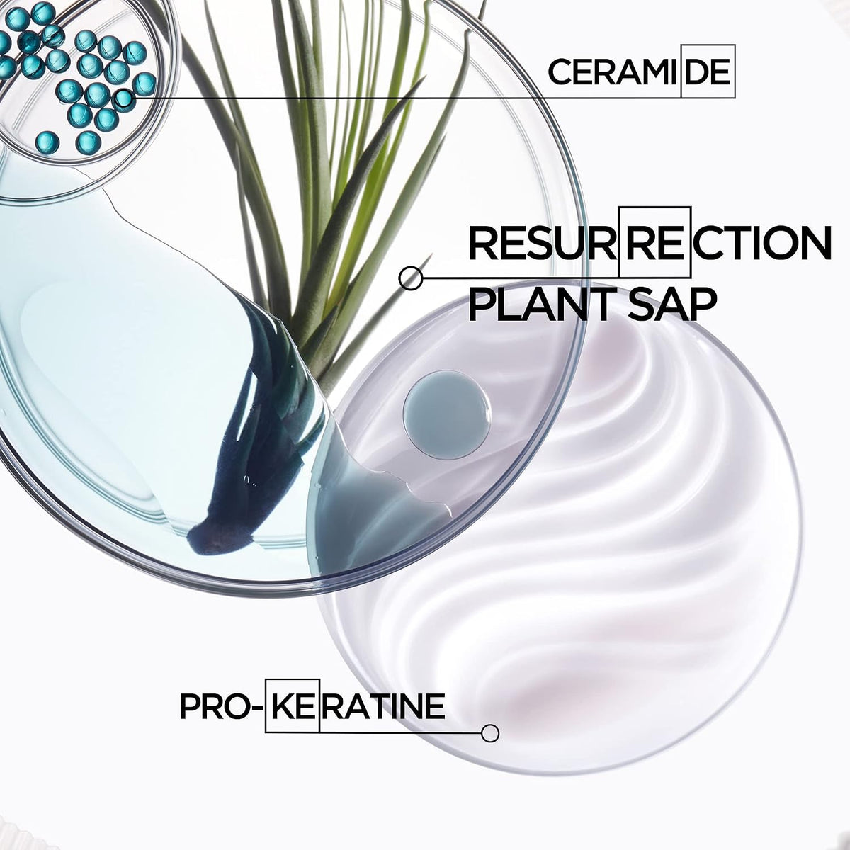 Side profile of Kérastase Resistance reconstructing shampoo bottle