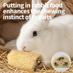 Natural loofah toy filled with Timothy hay for small animal enrichment