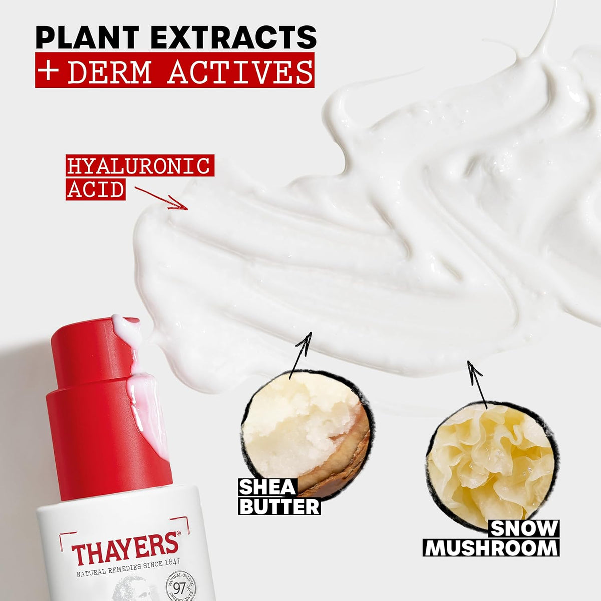THAYERS Soak It Up Moisturizer, 2.5 Oz - Image 3