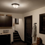 Kichler brushed nickel finish texture view