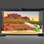 AWERT polyester terrarium backdrop with high definition oasis sun imagery