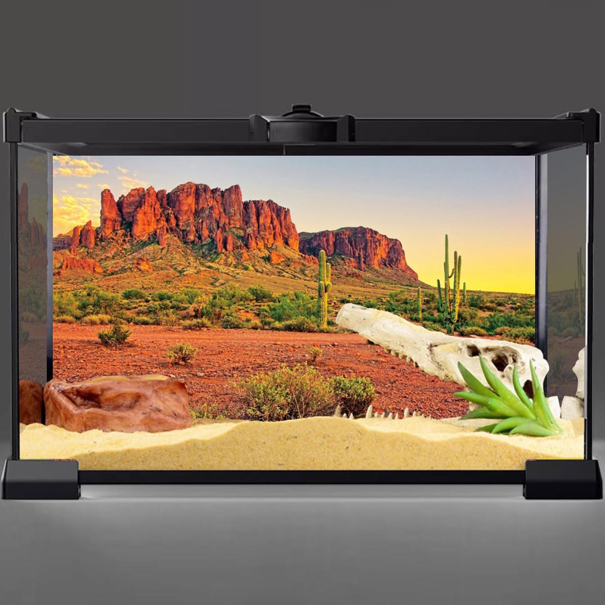 AWERT polyester terrarium backdrop with high definition oasis sun imagery
