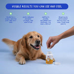 Coco and Luna canine skin and coat supplement packaging showing 120 tablets count