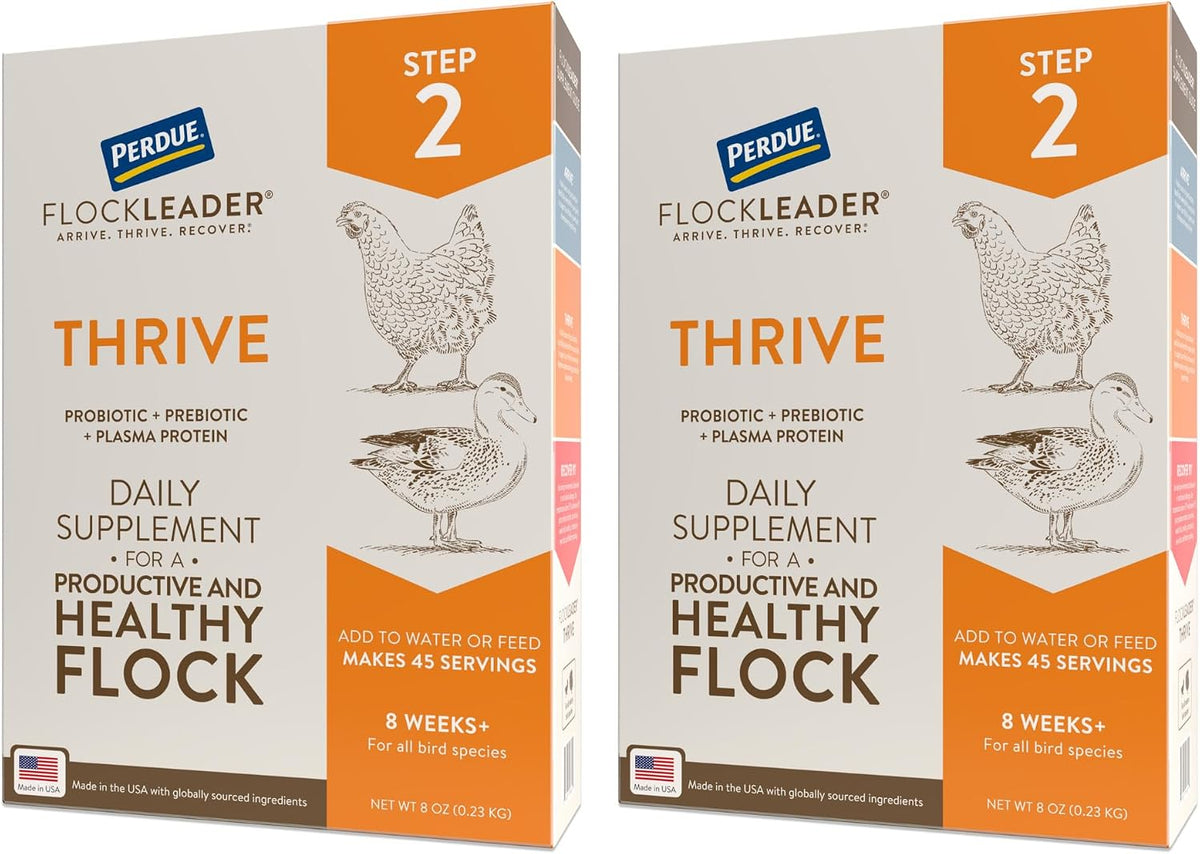 FlockLeader Arrive eight ounce packaging demonstrating immune support benefits for newly hatched chicks