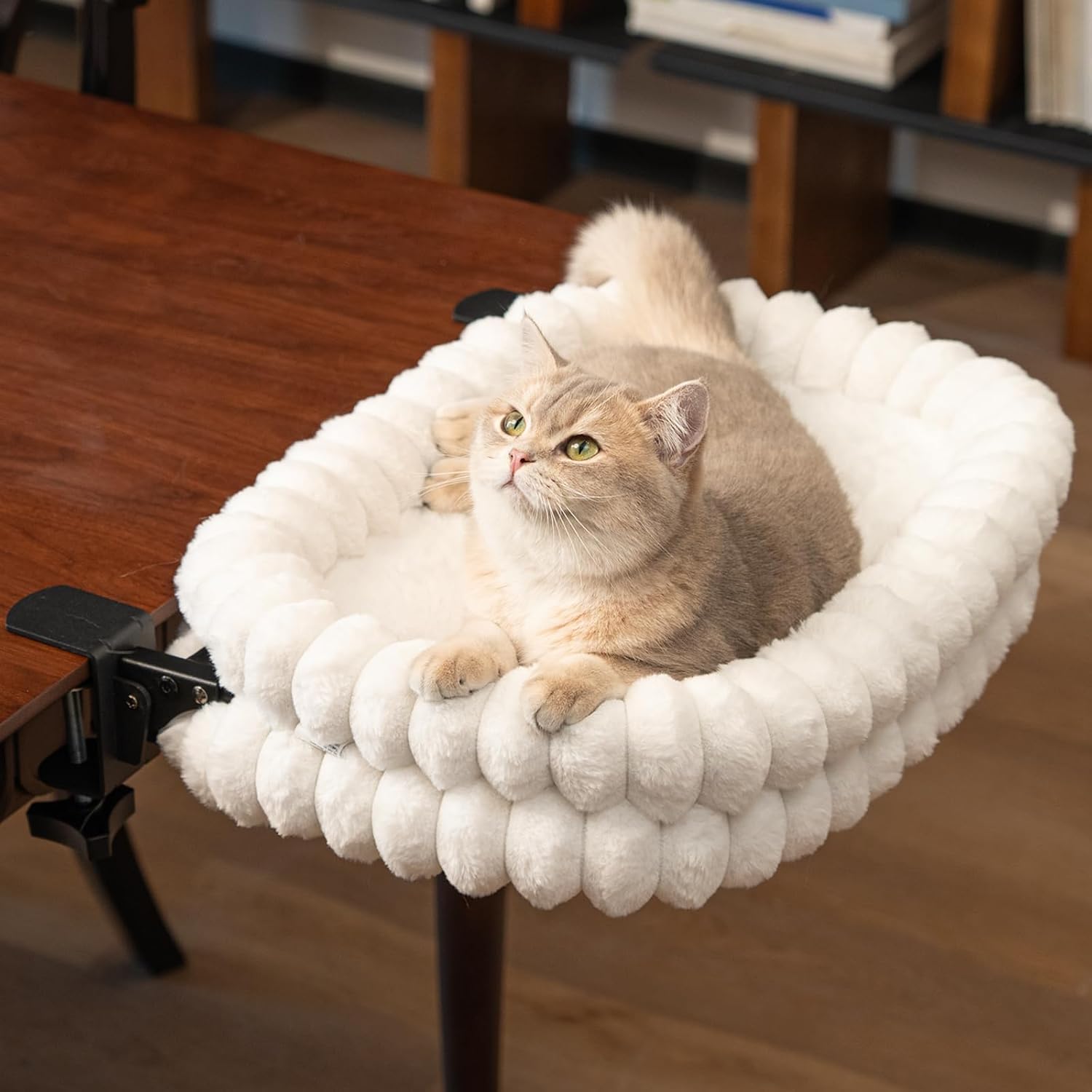 Cheerpals cat desk bed front view white frame