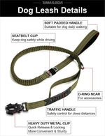 Tinmarda heavy duty dog leash attached to a harness for medium large dogs