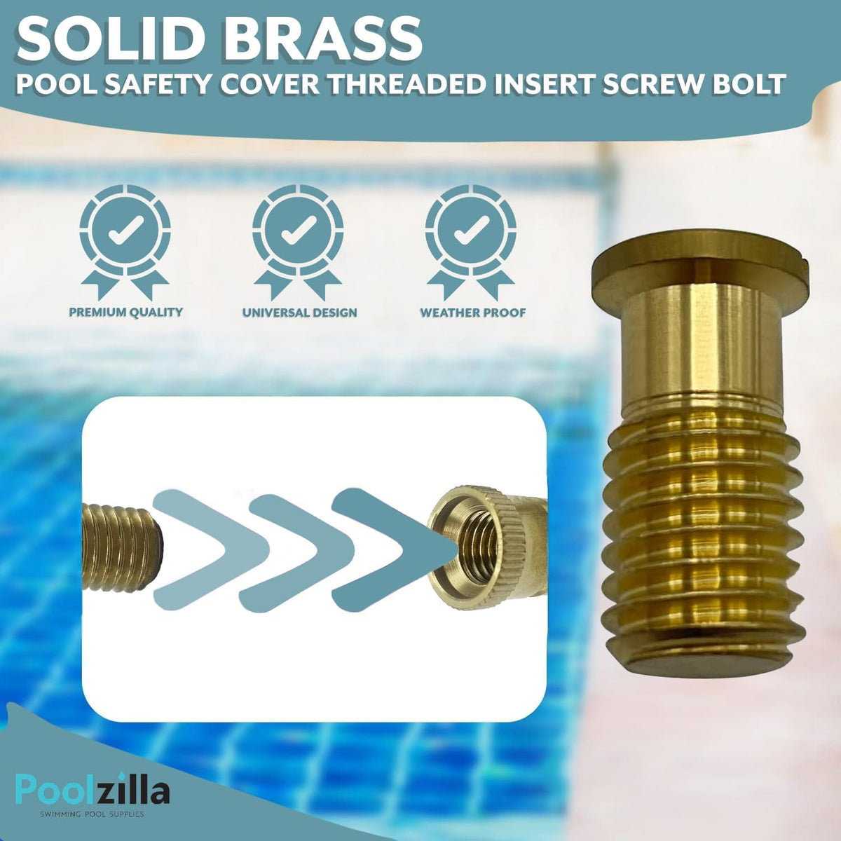 Close-up of Poolzilla 9/16 inch thread brass anchor screw