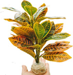 Keruideng artificial reptile plant front view in a terrarium.