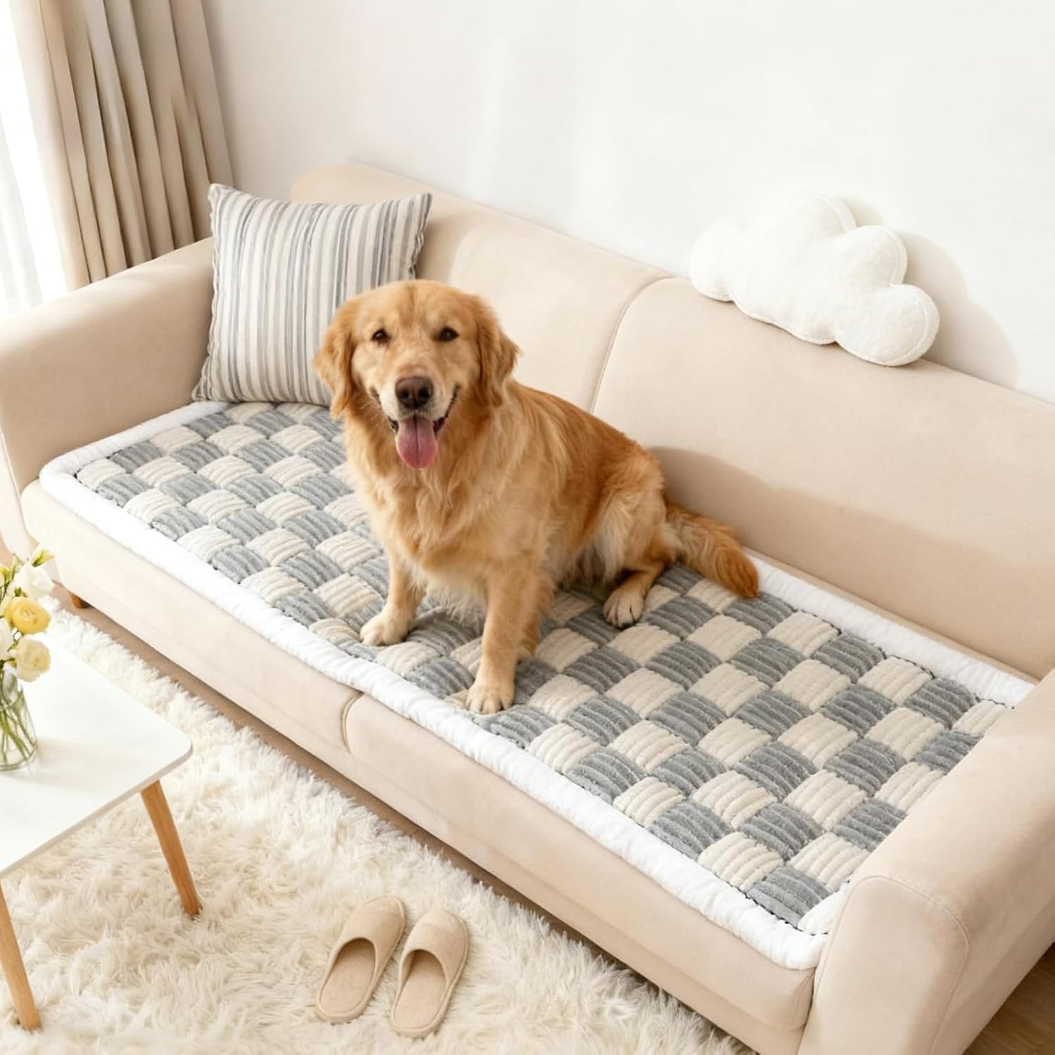 AMTARP dog couch cover protector front view on living room sofa