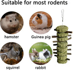 Guinea pig chew snacks showing the fibrous texture of healthy timothy grass treats.