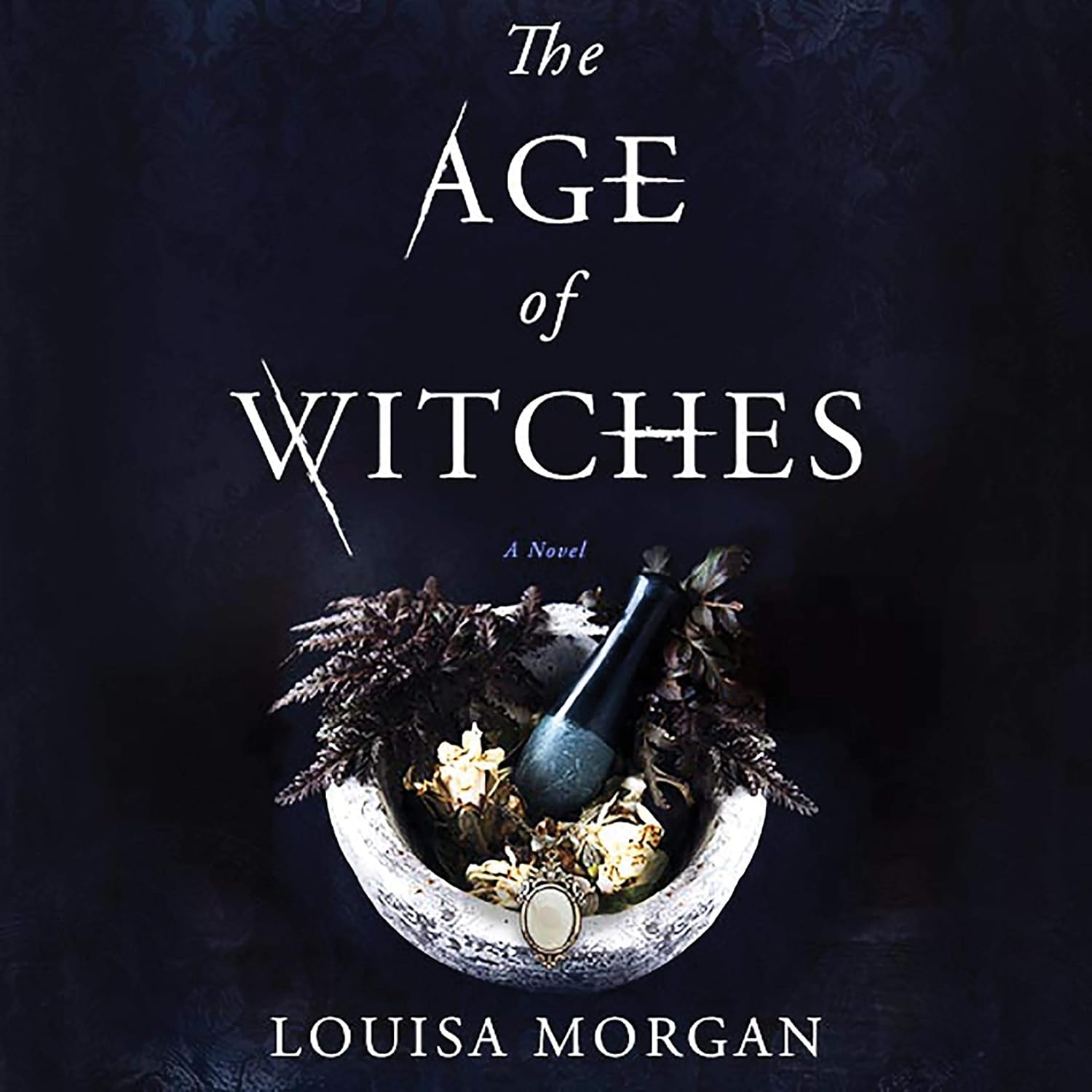 Louisa Morgan The Age of Witches Hardcover Novel Front View