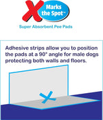Spot dog pee pads absorbing liquid demonstration