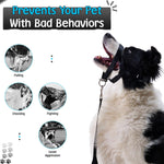Premium USA imported dog training tool kit featuring a headcollar and clickers.
