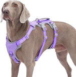 Huntboo Escape Proof Harness, No Slip Dog Harness Escape Proof, Fully Reflective Harness with Handle, Breathable, Durable, Adjustable Vest for Medium Dogs Walking and Training Gear (Black, M) - Image 11