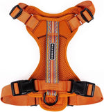 Wilderdog lightweight harness packaging and branding