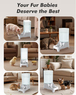 Automatic Dog Water Bowl Dispenser with Patented Faucet - 8L Large Gravity Cat Water Dispenser with Filter & Adjustable Base, Wide Mouth for Easy Clean, BPA-Free, Stainless Steel Pet Waterer for Pets - Image 9