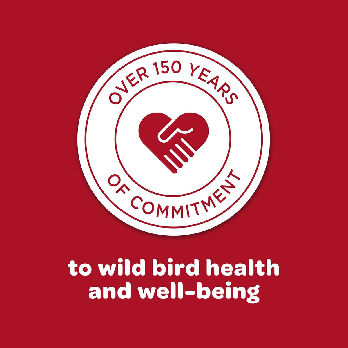 Premium Kaytee wild bird seed blend for backyards