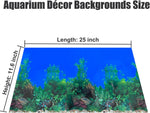 XCNO colorful coral reef aquarium background paper being trimmed to custom size