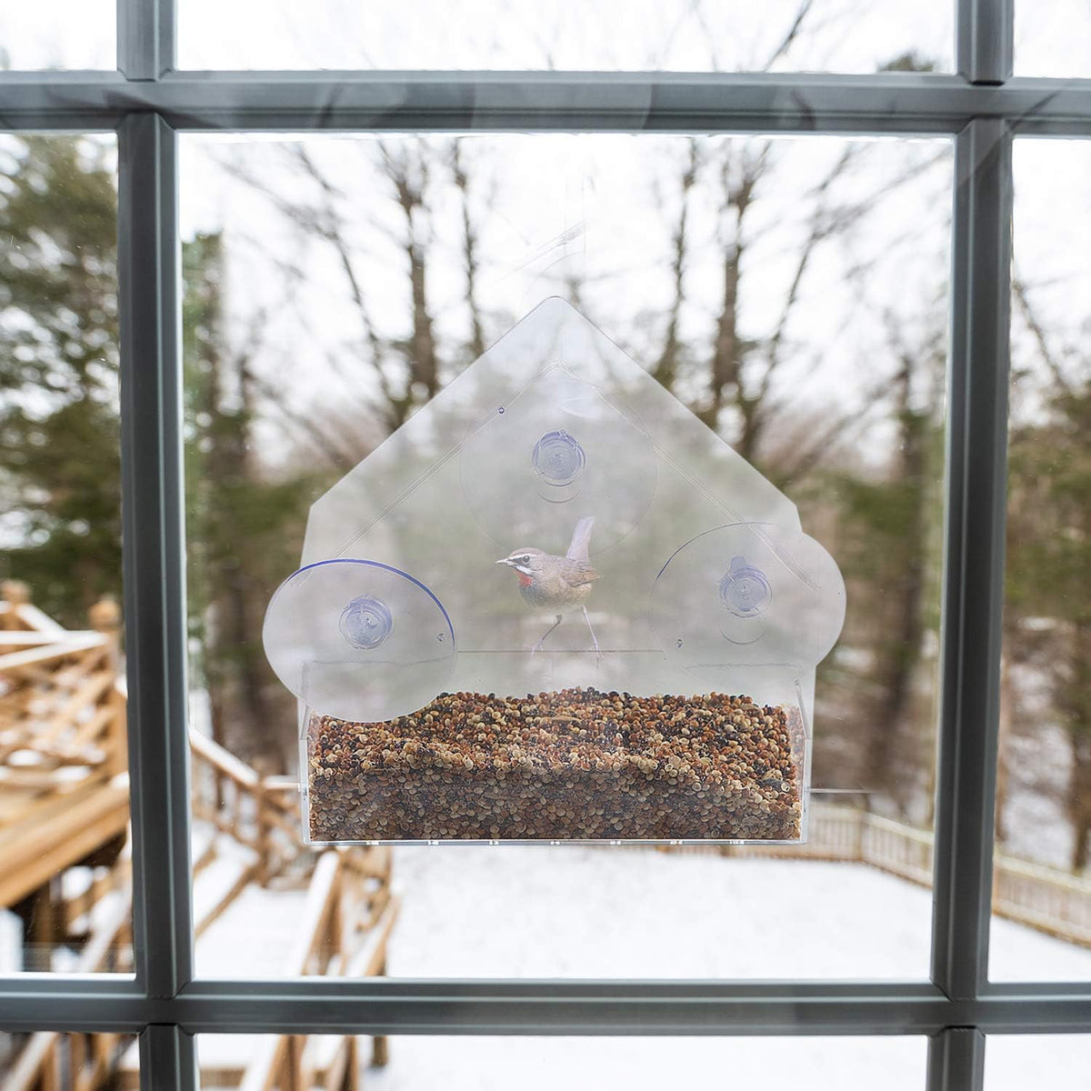 Close-up of the Bavision acrylic bird feeder showing the protective roof and perch.