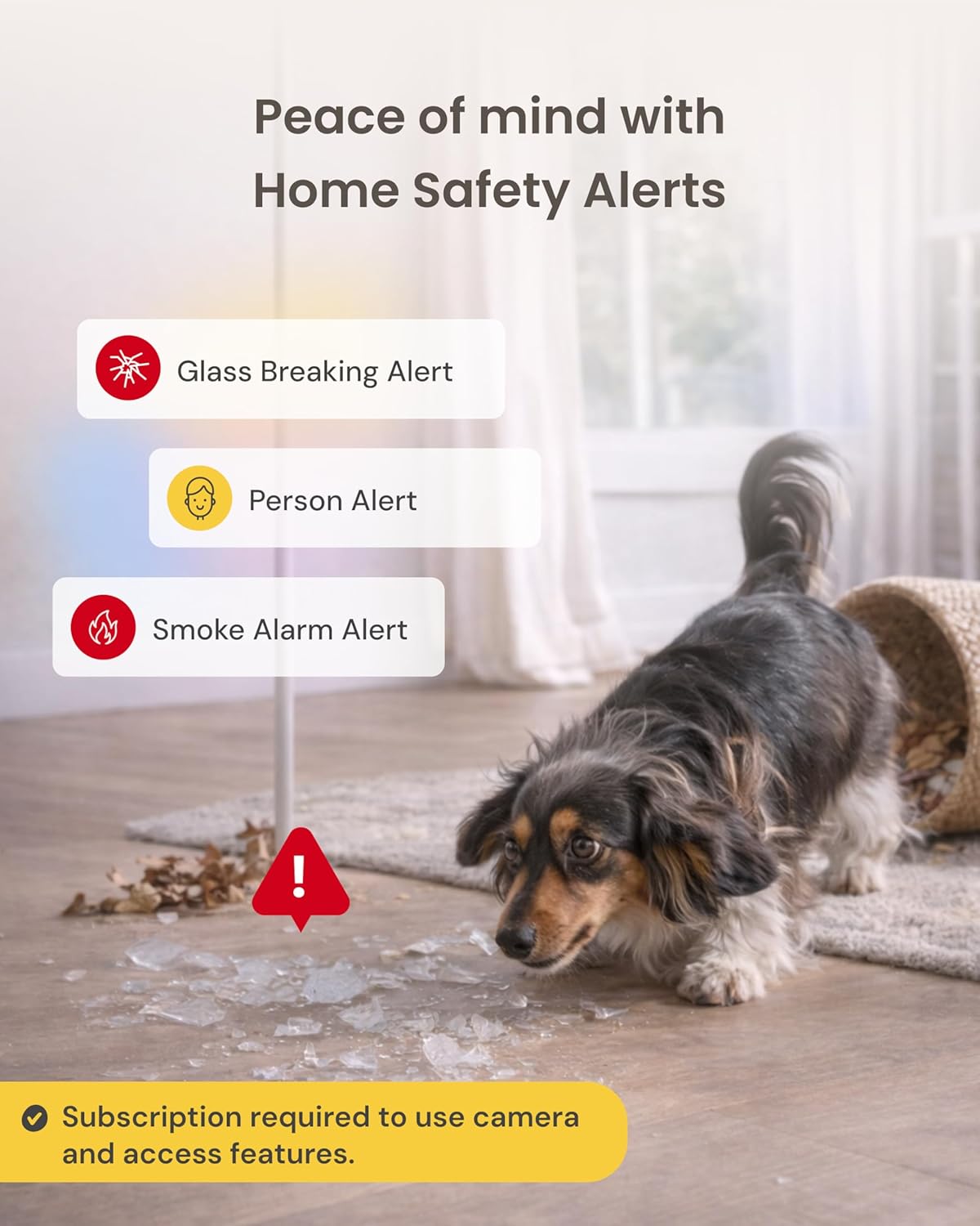 Bark alert notification appearing on a smartphone display linked to the dog camera