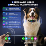 Staalguard dog training collar with handheld remote