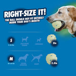 Side view of medium Chuckit! fetch ball