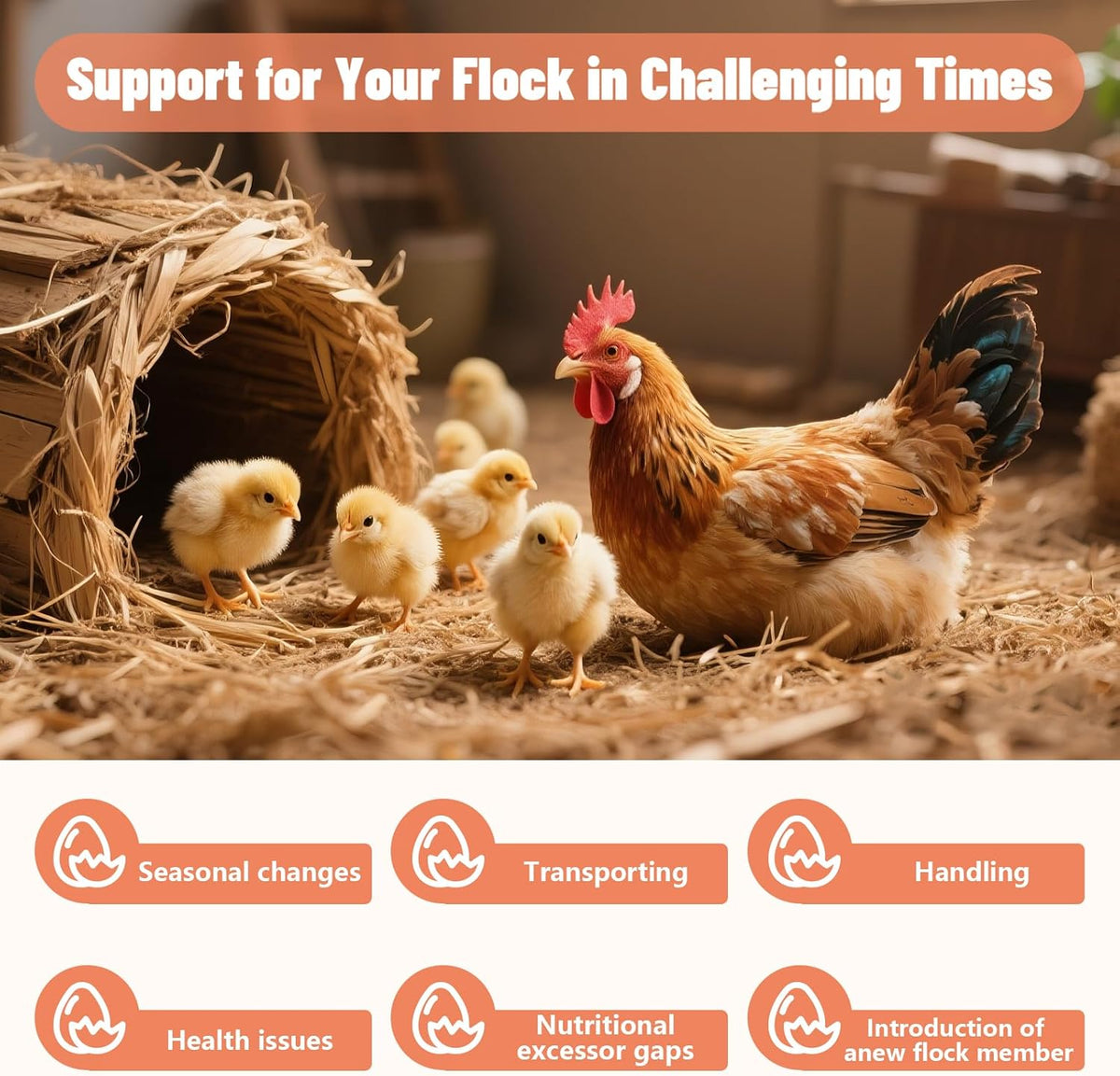 Inqigi multipurpose poultry supplement for heat stress recovery in chickens.