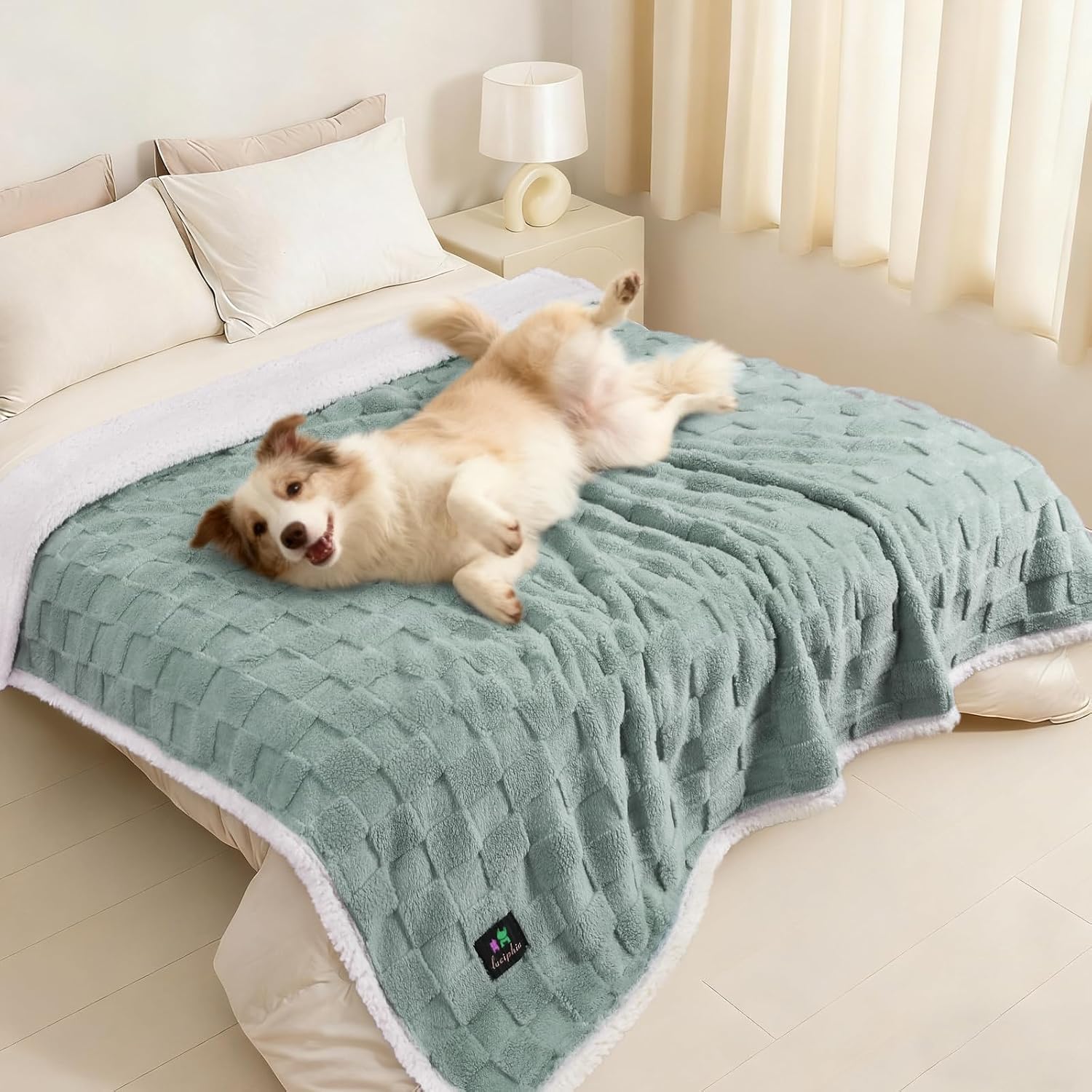 Luciphia waterproof dog blanket front view sage green color on a modern couch.
