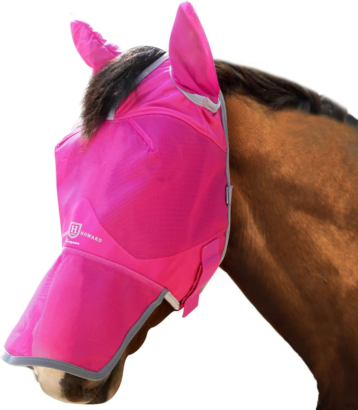 Harrison Howard fly mask forelock opening detail