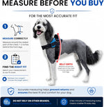 Shawnco pet vest buckle and strap mechanism
