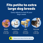 PetSafe no-pull harness contrasting belly strap