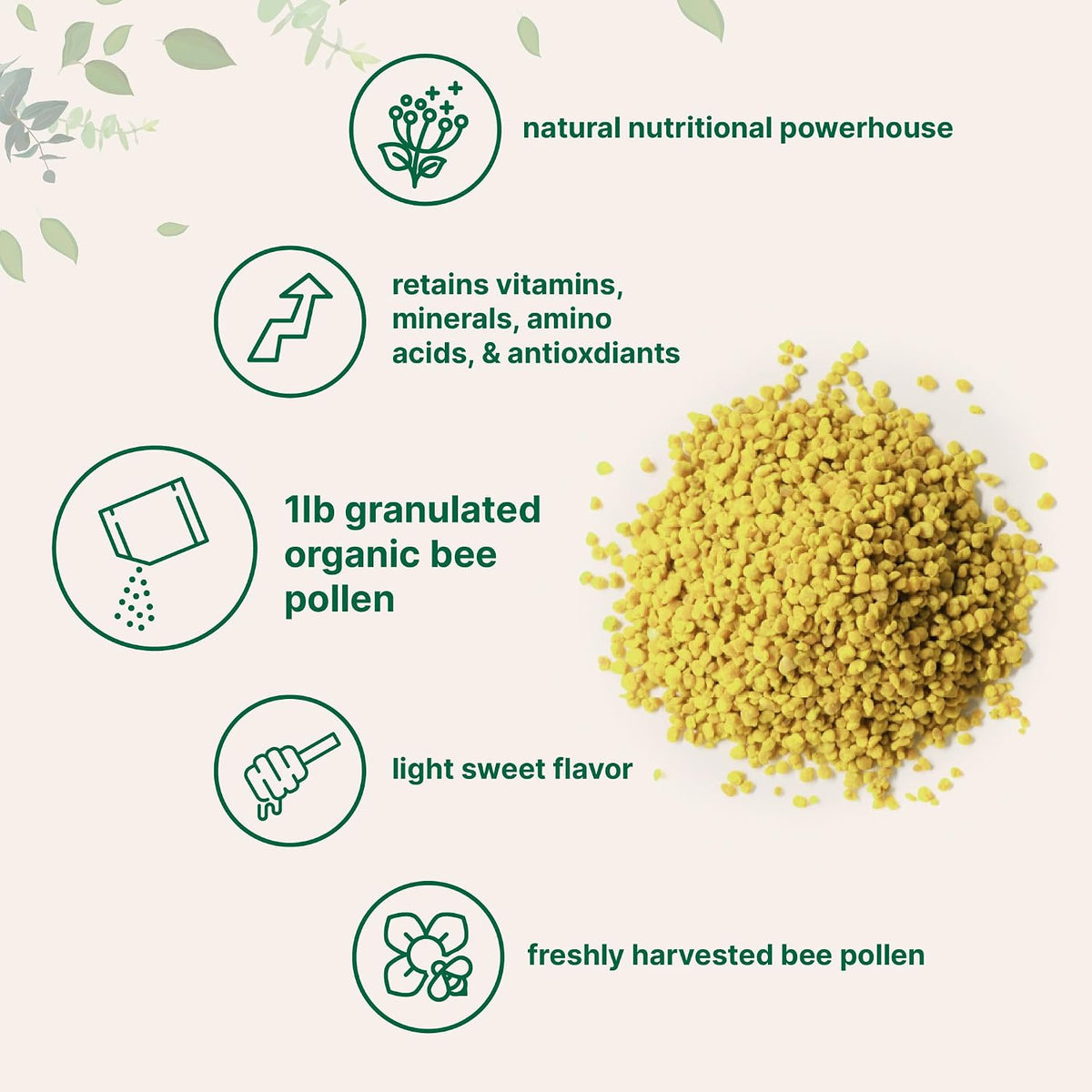 Granules displayed in a spoon showcasing natural purity