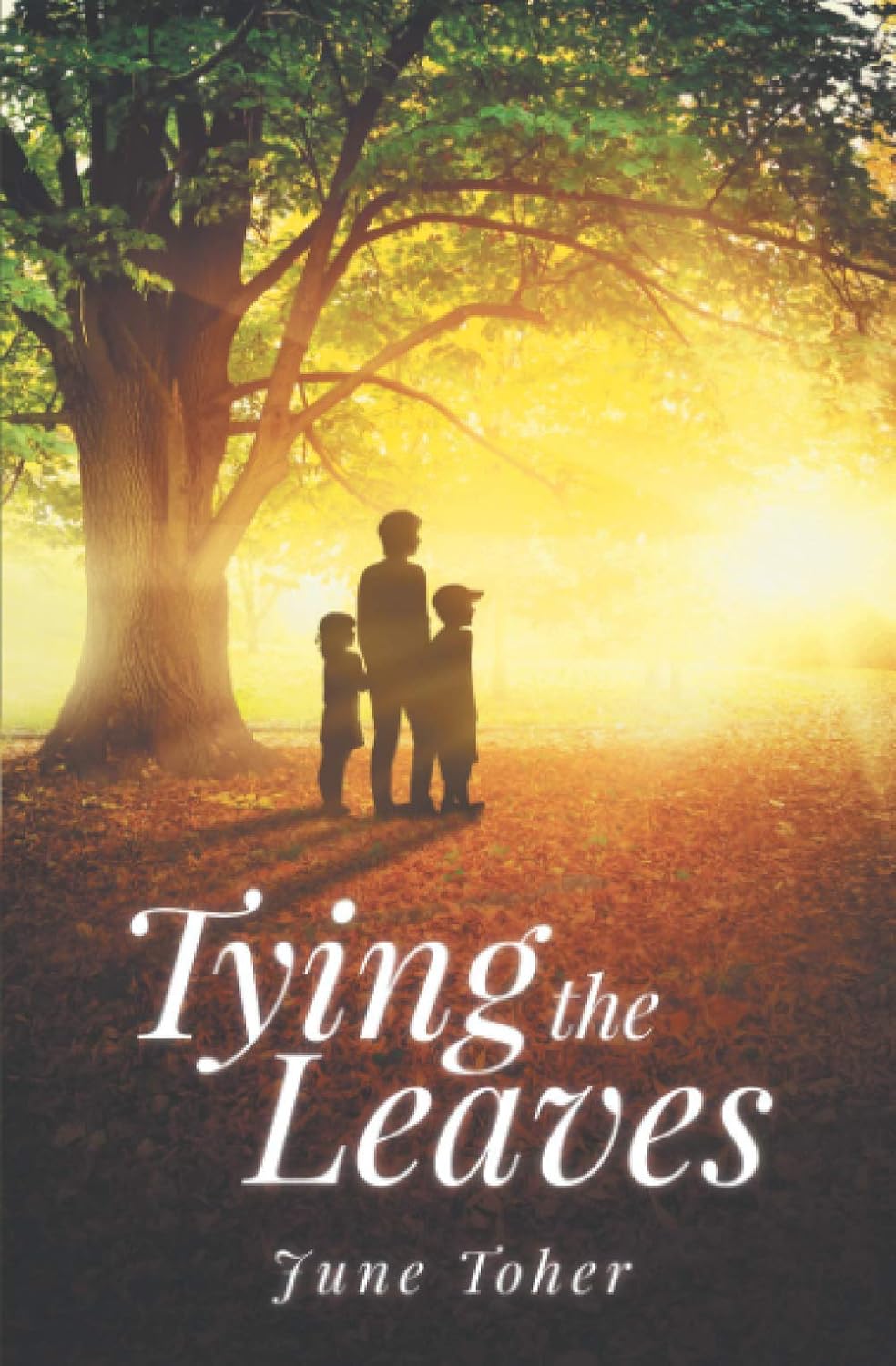 June Toher Tying the Leaves paperback front cover view featuring silhouetted figures under a sunlit tree.