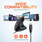 Delton S12 vertical mouse packaging and accessories