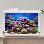 Reusable aquarium background poster measured at twenty-four by sixteen inches.