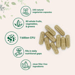 Micro Ingredients 240 vegetarian capsules bottle back view
