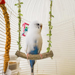 Hanging bird swing with decorative leaves showing stable perch holder