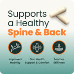 VetriScience Healthy Spine and Disc easy open capsules for back support