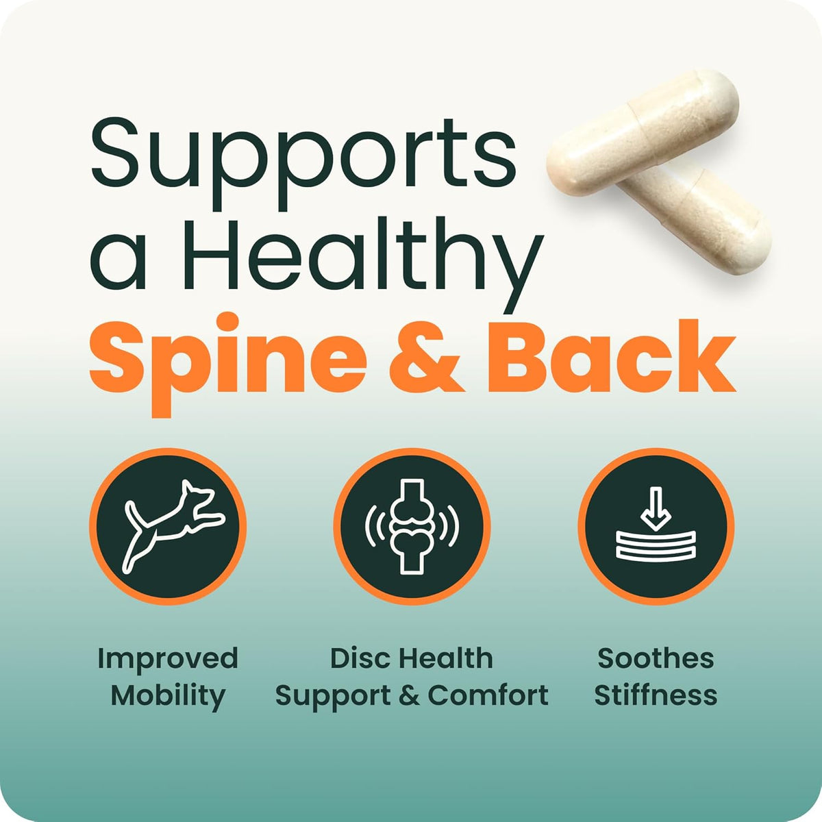 VetriScience Healthy Spine and Disc easy open capsules for back support