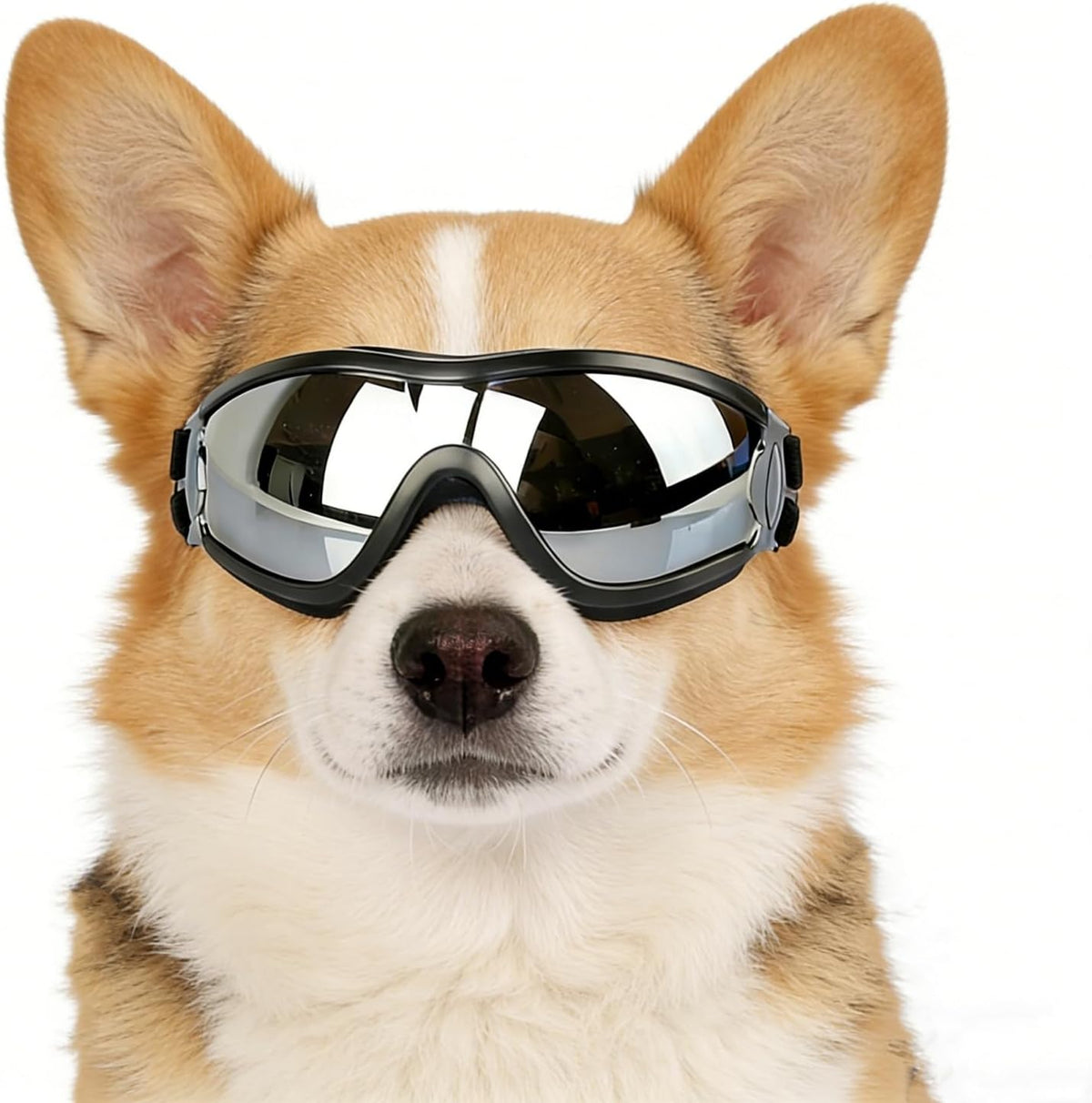 NAMSAN Large Dog Goggles Eye Protection, UV Protection Pet Sunglasses for Dogs Medium to Large Breed, Driving Glasses for Dogs Stick Head Out Car Window, Windproof Dustproof, Adjustable, Clear - Image 15