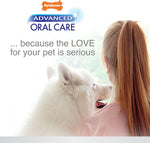 Nylabone puppy oral care set in hand