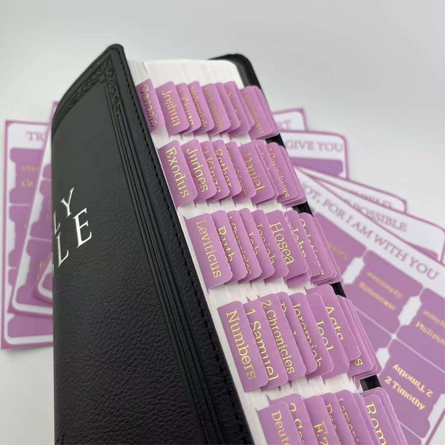 Backtopeia Pink Bible Tabs with Gold Words front view pack on a closed Bible
