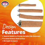 Super Bird Creations grooming perch lifestyle view with bird