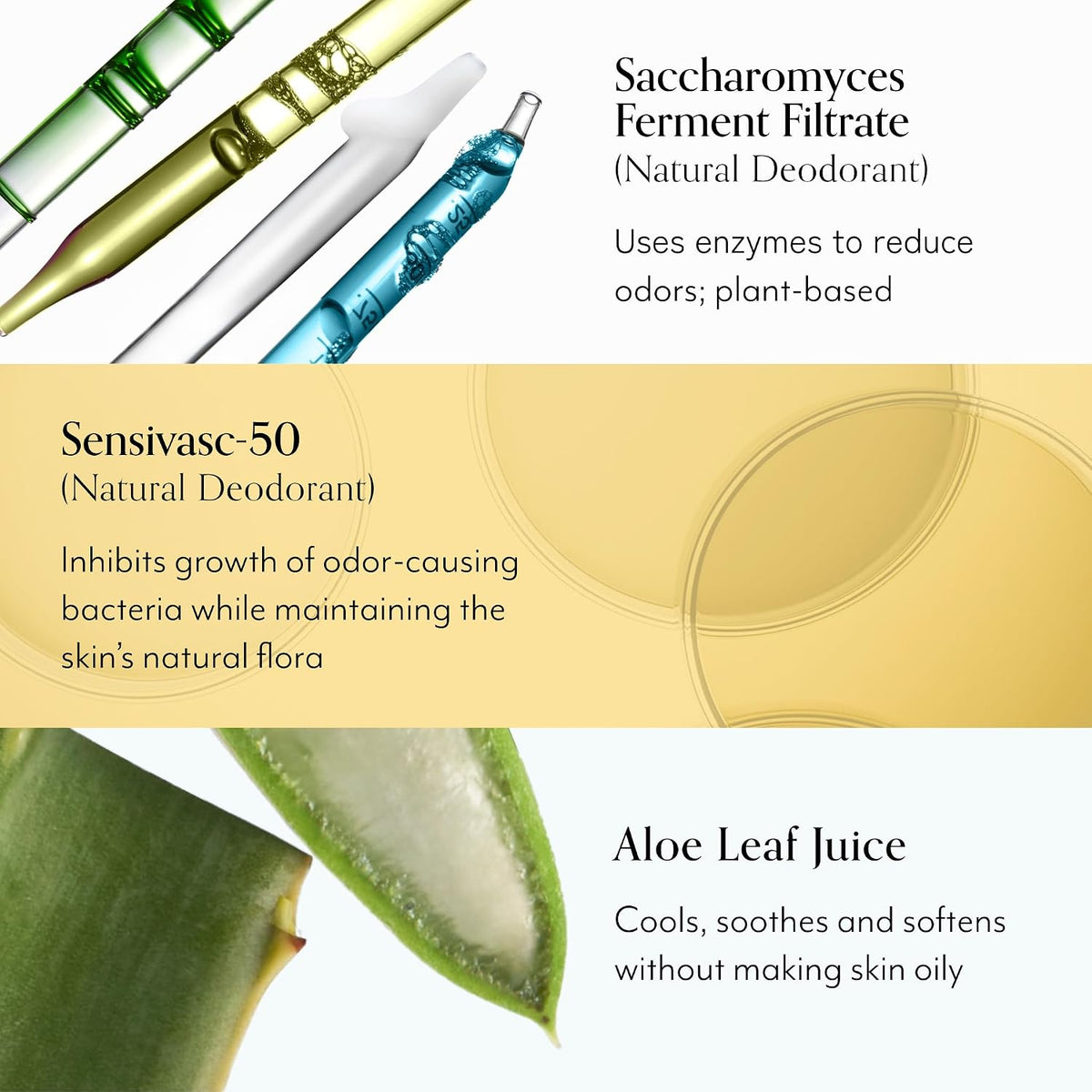 Side view of Bliss Lemon and Sage deodorant wipe travel packs