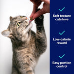 Bite sized low calorie feline training treats texture detail
