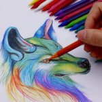 Mont Marte 24 piece color pencils displayed outside box