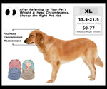 Etofixee pet hat featured in autumn outdoor setting