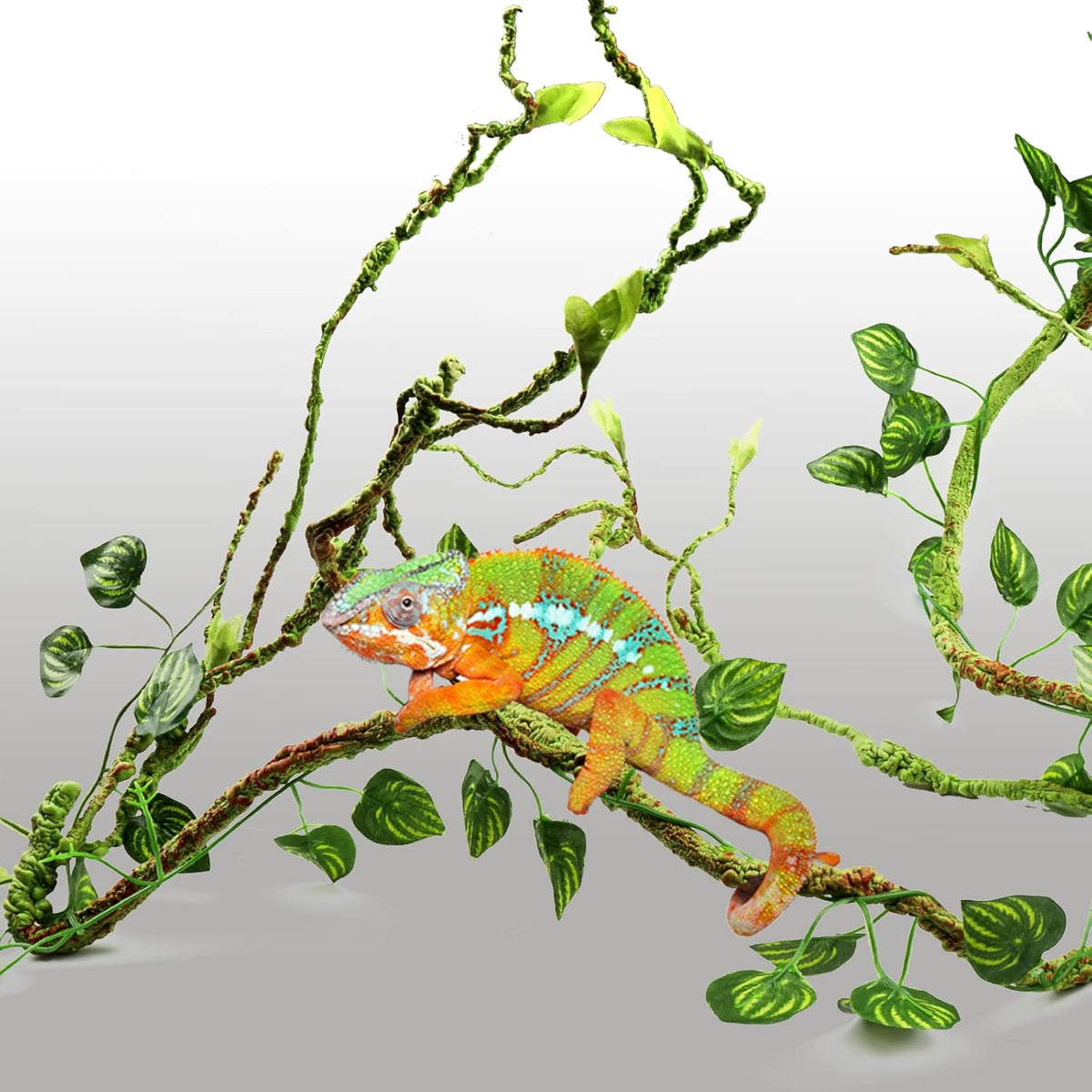 Suction cups included with PietyPet reptile decor set