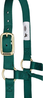 Hunter green large horse halter side angle