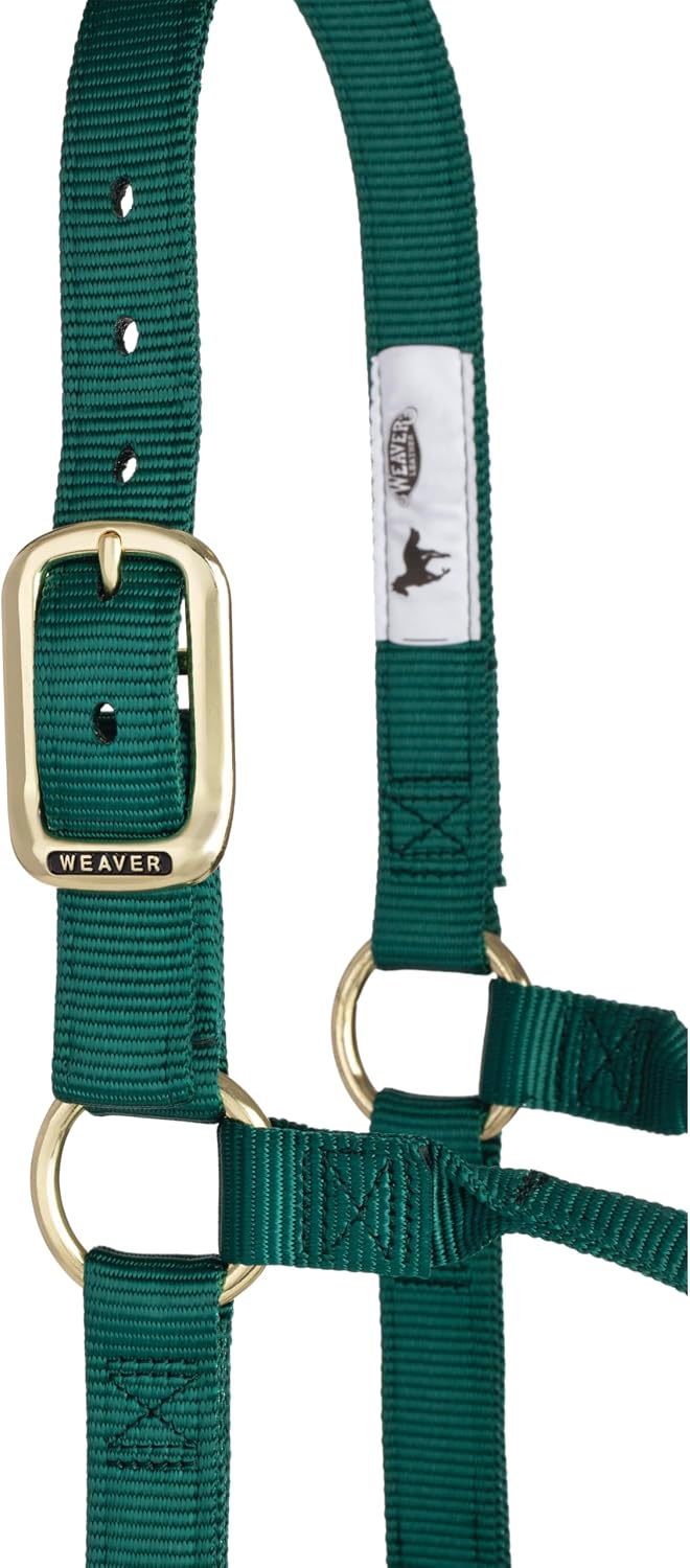 Hunter green large horse halter side angle